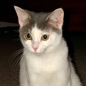 Meet your Posher, Christy